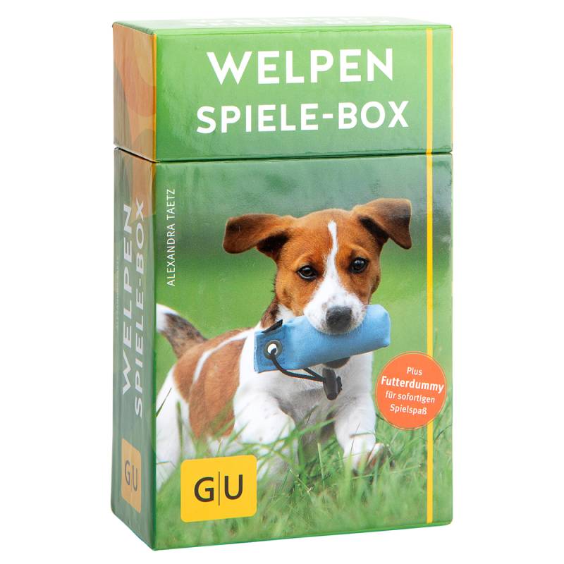 Welpen Spiele-Box von fehlt