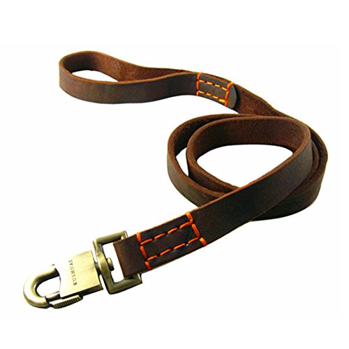 1.5 Meter Hundeleine Leder Große Hunde Braun Lederleine Retrieverleine Führleine Trainingsleine Luxus Walking Schleppleine Vollrindleder Übungsleine Leash Mittlere Grosse Hunde (Stitching, 120cm) von feiling