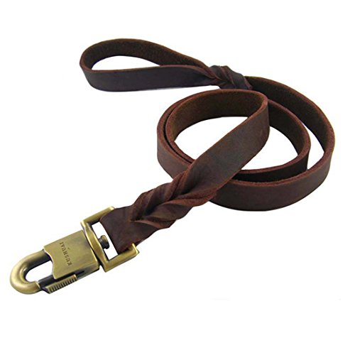 1.5 Meter Hundeleine Leder Große Hunde Braun Lederleine Retrieverleine Hundeführleine Trainingsleine Walking Schleppleine Vollrindleder Übungsleine Leash Mittlere Große Grosse Hunde (Braided, 120cm) von feiling