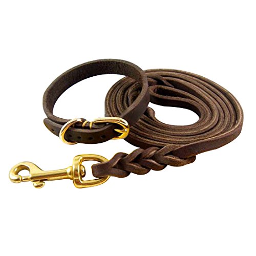 1.6M Hundeleine und Halsband Echtleder Hundführleine Geflochten Haustier Schleppleine Lederleine Hundehalsband Halskette Martingal Dog Leash Collar Welpen Klein Mittlere Hunde (Geflochten, M) von feiling