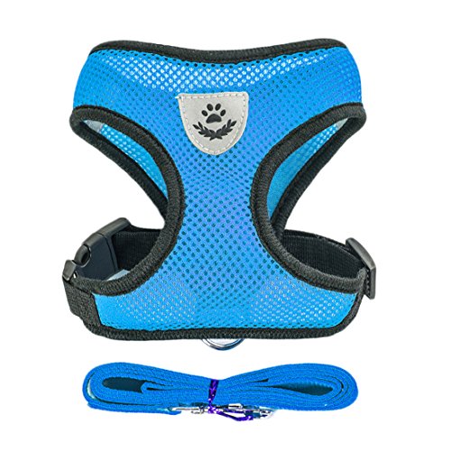 Air Mesh Hundegeschirr Atmungsaktiv Welpengeschirr für Klein Hunde Vest Harness Brustgeschirre Haustier Softgeschirr mit 1,1M Hundeleine Führleine Schleppleine (L, blau) von feiling