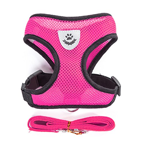 Air Mesh Hundegeschirr Atmungsaktiv Welpengeschirr für Klein Hunde Vest Harness Brustgeschirre Haustier Softgeschirr mit 1,1M Hundeleine Führleine Schleppleine (L, rosa) von feiling