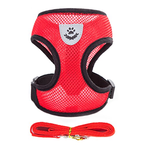 Air Mesh Hundegeschirr Atmungsaktiv Welpengeschirr für Klein Hunde Vest Harness Brustgeschirre Haustier Softgeschirr mit 1,1M Hundeleine Führleine Schleppleine (L, rot) von feiling