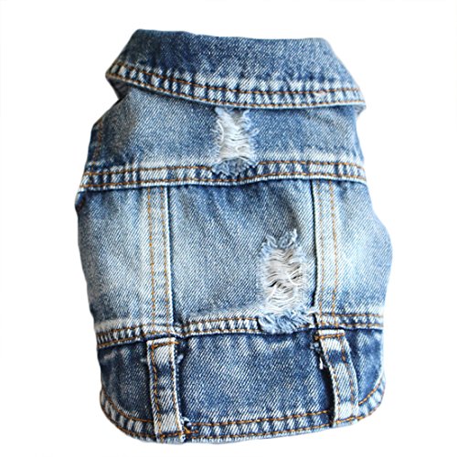 Distressed Jeans Jacke für Kleine Hunde Frühling Herbst Bekleidung Dog Vest Hundekostüm Hundemantel Haustier Coat für Welpen Poodle Bichon Frise (XL) von feiling