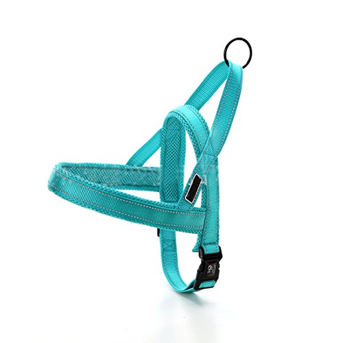 Hundegeschirr Mesh Welpengeschirr Nylon Norwegergeschirr Soft Vest Harness Brustgeschirre Reflektierende Sicherheitsgeschirr Brustgurt für Kleine, Mittlere und Große Hunde (XXS: chest 30-38cm, grün-b) von feiling