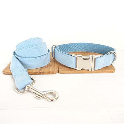 Pastell Hellblau Hundeleine und Halsband Set Einfarbige Hundeband Hunde Retriever Führleine Hundhalskette Walking Leash Schauleine Hundehalsung Klickverschluss für Klein Mittlere Große Hunde (M) von feiling