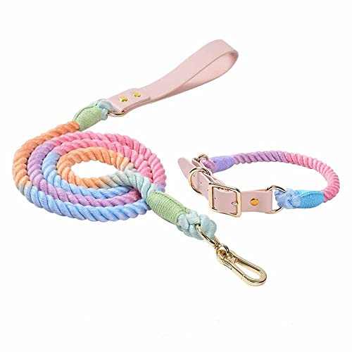 feiling 1.5M Hundeleine Weichem Geflochten Bunt Hundeführleine mit Hundehalsband Set für Mittelgroße und Große Hunde Tierleine Schauleine Haustier Retrieverleine (Colorful Set, L) von feiling