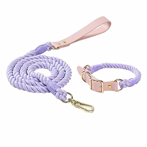 feiling 1.5M Hundeleine Weichem Geflochten Bunt Hundeführleine mit Hundehalsband Set für Mittelgroße und Große Hunde Tierleine Schauleine Haustier Retrieverleine (Purple Set, L) von feiling