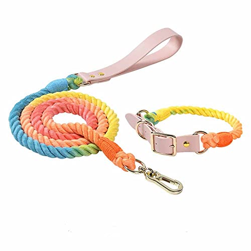 feiling 1.5M Hundeleine Weichem Geflochten Bunt Hundeführleine mit Hundehalsband Set für Mittelgroße und Große Hunde Tierleine Schauleine Haustier Retrieverleine (Rainbow Set, M) von feiling