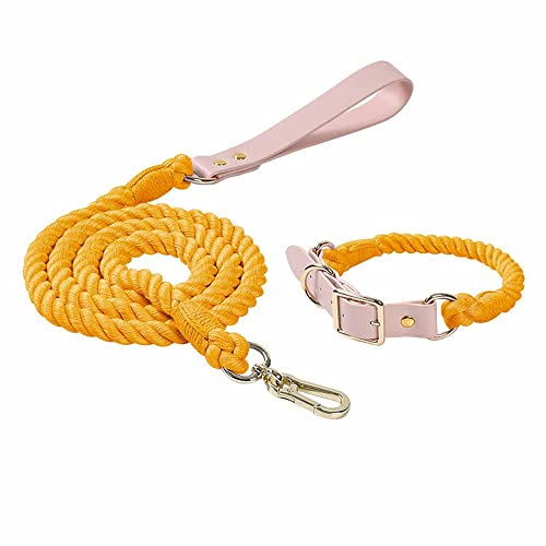 feiling 1.5M Hundeleine Weichem Geflochten Bunt Hundeführleine mit Hundehalsband Set für Mittelgroße und Große Hunde Tierleine Schauleine Haustier Retrieverleine (orange Set, L) von feiling