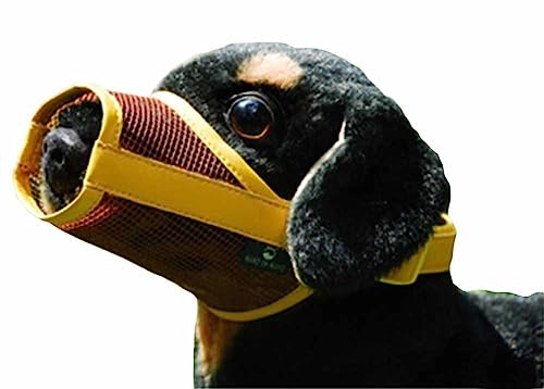 feiling Anti-Beiß Hundetraining Maulkorb Air Mesh Maulkörbe Anti-Bell Training-Korb Anti-bark Dog Muzzle für Kleine Mittlere und Große Hunde (gelb, L) von feiling