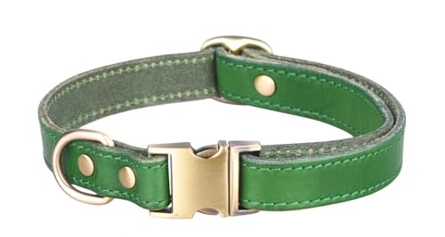 feiling Basic Lederhalsband Klickverschluss Einstellbare Hundehalsband Leder Martingal Hundehalsung für Kleine Mittelgroße und Große Hunde (grün, M) von feiling