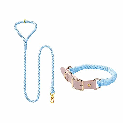 feiling Bunt Hundeleine Weichem 1.5M Führleine mit Hundehalsband Set für Mittelgroße und Große Hunde Baumwolle Schauleine Tierleine (Blue Set, S) von feiling