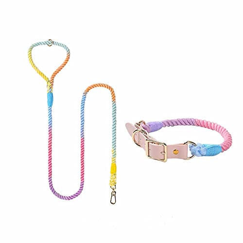 feiling Bunt Hundeleine Weichem 1.5M Führleine mit Hundehalsband Set für Mittelgroße und Große Hunde Baumwolle Schauleine Tierleine (Colorful Set, S) von feiling