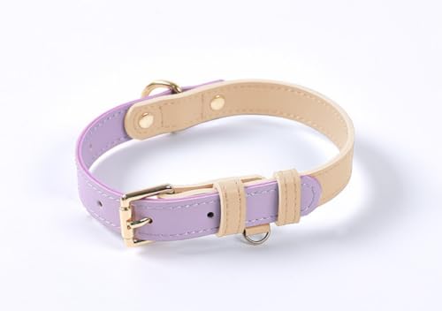 feiling Hunde Lederhalsband Hundehalsband Einstellbare Halskette Hundehalsung für Kleine Mittelgroße Hunde (lila, M) von feiling