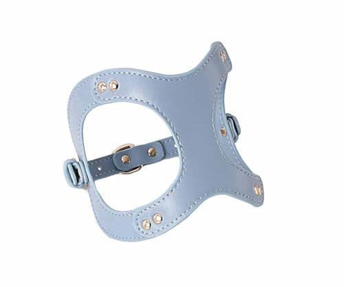 feiling Hundegeschirr für Kleine Hunde Verstellbar Ledergeschirr Welpen Brustgeschirr Weichem Leder Katzengeschirr Hundeleine (blau, L) von feiling