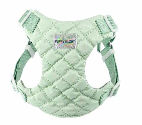 feiling Hundegeschirr für Kleine und Mittlere Hunde Brustgeschirre Haustier Softgeschirr Welpengeschirr (grün, XS: chest 30-37cm) von feiling