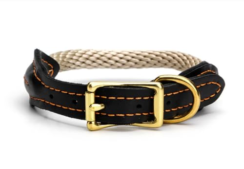 feiling Hundehalsband Einstellbare Martingal Halskette Lederhalsband Weich Nylon Hundehalsung für Kleine und Mittlere Hunde (schwarz, XS: 21-26cm) von feiling