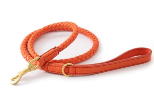 feiling Hundehalsband Leder Einstellbare Hunde Halskette für Kleine Mittelgroße und Große Hunde Geflochten Lederhalsband (orange Leine, L) von feiling