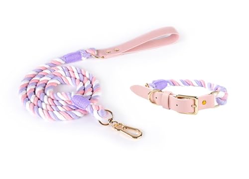 feiling Hundeleine mit Hundehalsband Set für Mittelgroße und Große Hunde Geflochten Hundeführleine Bunt 1.5m Tierleine Haustier Schauleine (L, lila) von feiling