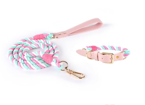 feiling Hundeleine mit Hundehalsband Set für Mittelgroße und Große Hunde Geflochten Hundeführleine Bunt 1.5m Tierleine Haustier Schauleine (M, pink) von feiling