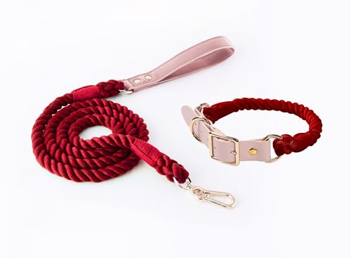 feiling Hundeleine mit Hundehalsband Set für Mittelgroße und Große Hunde Geflochten Hundeführleine Bunt 1.5m Tierleine Haustier Schauleine (S, weinrot) von feiling