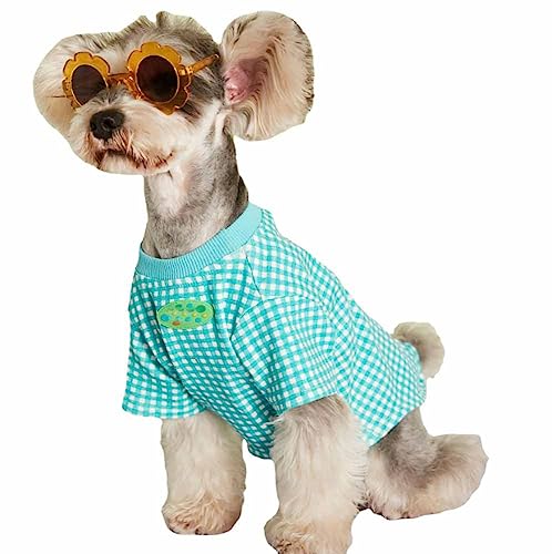 feiling Hundeshirt Kleine Hunde Welpen Sommer T-Shirt Atmungsaktiv Hundemantel Hundekostüm Mittlere Hunde Bekleidung Haustier Outwear (blau, 2XL) von feiling