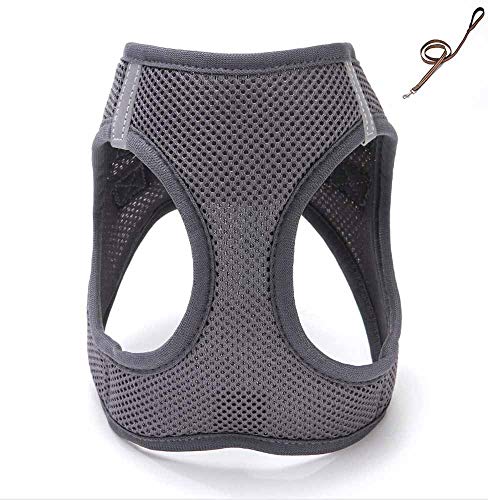 feiling Katzen-Geschirr Hundegeschirr Kleine Hund Atmungsaktiv Mesh Welpengeschirr Verstellbares Brustgeschirre Step-in Vest Reflektierende Softgeschirr mit 1,2M Hundeleine Set Führleine (S, Grau) von feiling