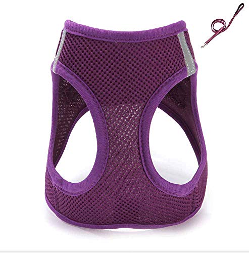 feiling Katzen-Geschirr Hundegeschirr Kleine Hund Atmungsaktiv Mesh Welpengeschirr Verstellbares Brustgeschirre Step-in Vest Reflektierende Softgeschirr mit 1,2M Hundeleine Set Führleine (XXS, Lila) von feiling