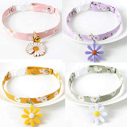 feiling Katzenhalsband Set Sicherheitsschnalle Halskette Verstellbarer Haustier Kragen Halsband Weichem mit Blumen für Katzen, Welpen, Kleine Hunde, Kaninchen (4 pcs/Pack) von feiling