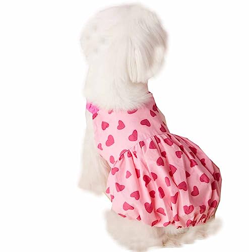 feiling Kleine Hunde Kleider Welpen Shirt Atmungsaktiv Hundekostüm Sommer Haustier Tops Bekleidung für Maltese Papillon Poodle (L) von feiling