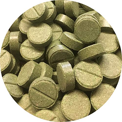 Futtertabletten Haft Tabletten 11mm 20% Spirulina Pflanzliches Fischfutter Wels 500ml von Fischfuttertreff