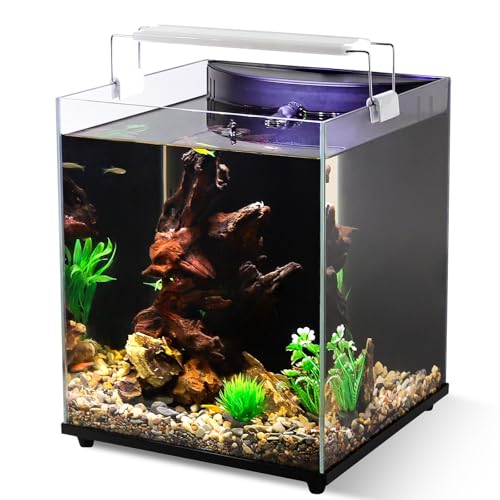 fishkeeper Aquarium-Starter-Set, kleines Aquarium mit Filter und einstellbarer 3-farbiger Beleuchtung, selbstreinigendes Fischglas, randloses Aquarium für Anfänger (Süßwasser-Aquarium) von fishkeeper