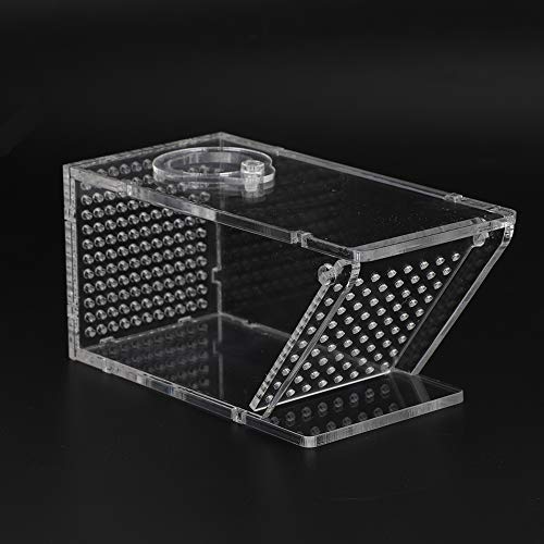 FLEXMAN Fischfallen Fangbox, 2,3 X 2,3 X 5,1 Zoll Acryl Aquarium Einweg Fangbox, Fischzuchtbox, Akklimatisierungsbox für Aquarien von flexman