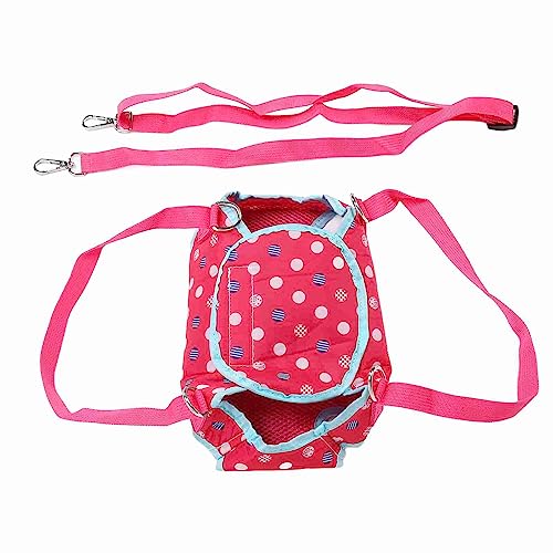 FLEXMAN Hunde Stützgeschirr, Haustier Lift Stützleine, Hundetragetuch, Haustier Rucksack, Hundetragegeschirr, Geschirr für Kleine Haustiere, Hunde, Katzen, für Ausflüge, Reisen (L-Größe) von flexman