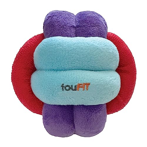 fouFit FouFouBrands Hide n Seek Schnüffelball mit Knotenmuster, Leckerli-Dosierspielzeug für Hunde, rot, blau, lila, groß von FOUFIT