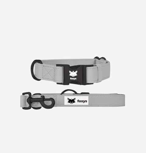 CityFox Hundehalsband und passende Leine, elegant und verstellbar, leicht zu reinigen und robust, Grau, Größe S, 30-42 cm, Set Foxys von foxys