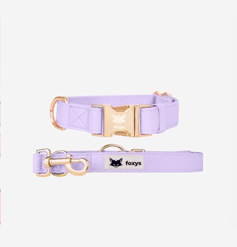 CityFox Hundehalsband und passende Leine, elegant und verstellbar, leicht zu reinigen und robust, violett/lila, Größe M, 35-50 cm, Set Foxys von foxys