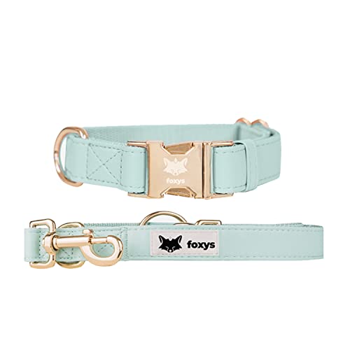 Foxys Leine (2 m) und Halsband für Begleiter | CityFox | Elegantes und verstellbares Set | Leicht zu reinigen und robust (Größe S, Aqua) von foxys