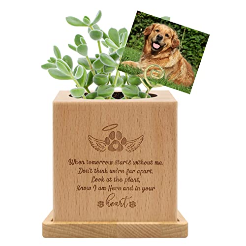 Dog Memorial Gifts Pflanztopf aus Holz mit Matte Sukkulenten Indoor Erinnerung Sympathie Geschenke für Verlust Haustier (Square) von free-space