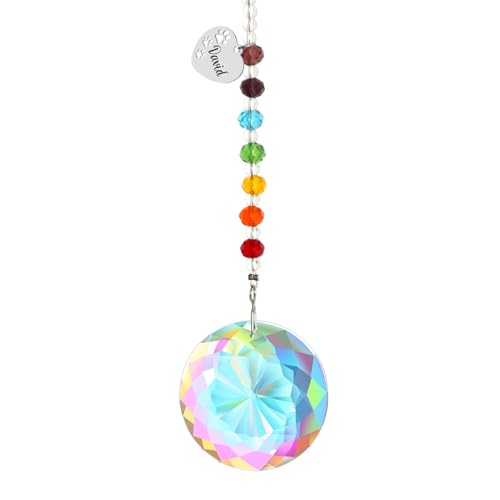 free-space Rainbow Bridge Pets Personalisierter Kristall-Lichtfänger für Katze/Hund, Andenken, Haustierverlust, Beileidsgeschenk (Round) von free-space