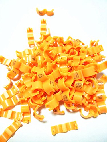 freen-p 100/lot 3 mm 1–100 nummeriert Clip Snap Kunststoff Vogel Ring Bein Bands Parrot Finch Kanarischen Gruppierte, Orange von freen-p