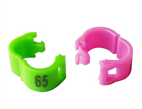 freen-p 100/lot 4,5 mm 1–100 nummeriert Clip Snap Kunststoff Vogel Ring Bein Bands Parrot Finch Kanarischen Gruppierte, Rose von freen-p