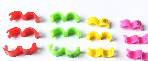 freen-p 100/lot 5 mm 1–100 nummeriert Clip Snap Kunststoff Vogel Ring Bein Bands Parrot Finch Kanarischen Gruppierte, Orange von freen-p