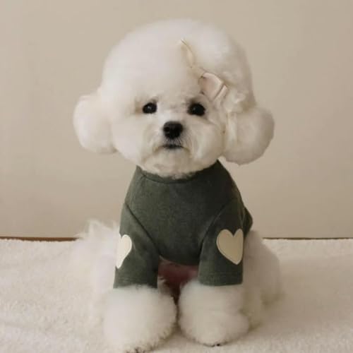 Atmungsaktives, weiches Unterhemd für Hunde, niedlicher Teddybär, Teddybär, Yorkshire, Katze, Haustier, warme Kleidung, Designer-Welpenkleidung von frissin