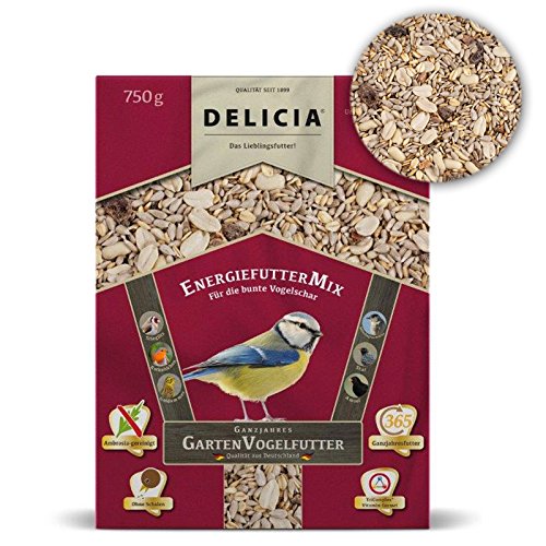 Delicia EnergiefutterMix Wildvogelfutter Winterfutter, 750 g von frunol delicia