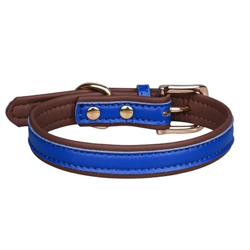 Haustier-Halsband, verstellbar, kontrastfarben, für kleine und mittelgroße Hunde von fxwtich