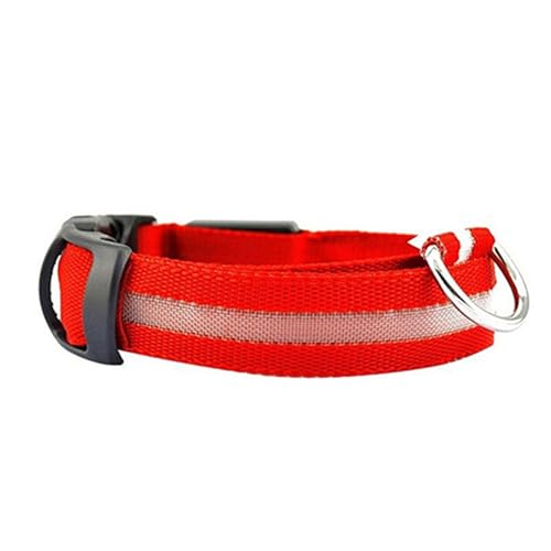 fxwtich Hunde-Zubehör, Welpe, Hund, Nacht, blinkend, leuchtendes LED-Licht, verstellbares Haustierhalsband von fxwtich