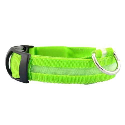 fxwtich Hundezubehör, USB-Aufladung, LED-Blinklicht, Hund, Welpen, Haustier, verlorene Warnung, Halsband, Halskette von fxwtich