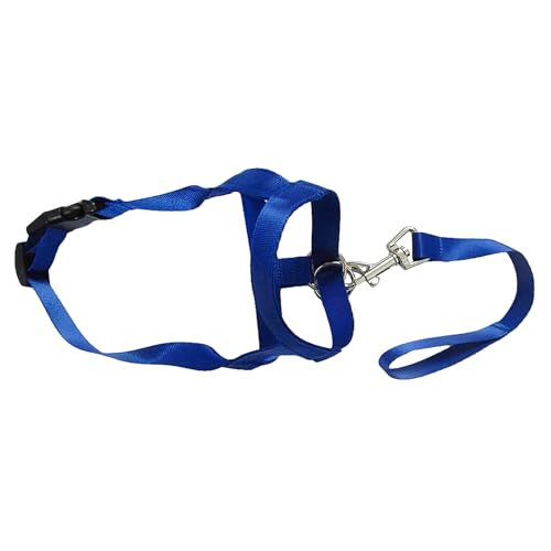 fxwtich Hundezubehör, weiches Nylon, für Training, Mundkäfig, Beißband von fxwtich